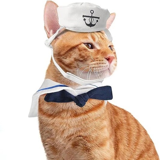 Costume de Marin Chat