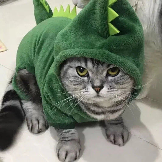 Déguisement dinosaure pour chat