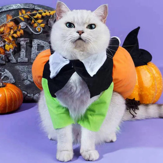 Déguisement Chat Halloween