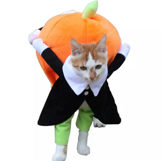 Déguisement Chat Halloween