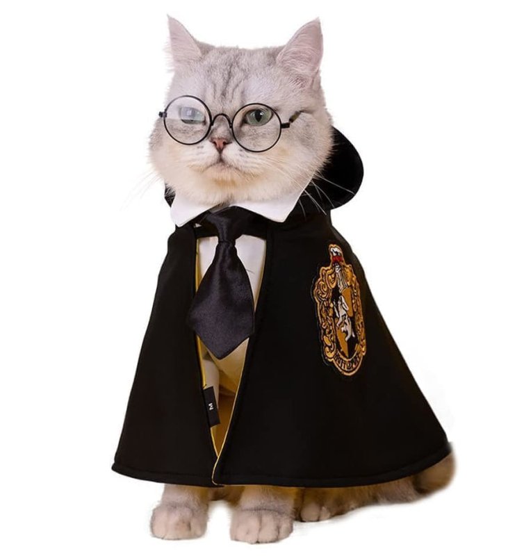 Déguisement Chat Harry Potter