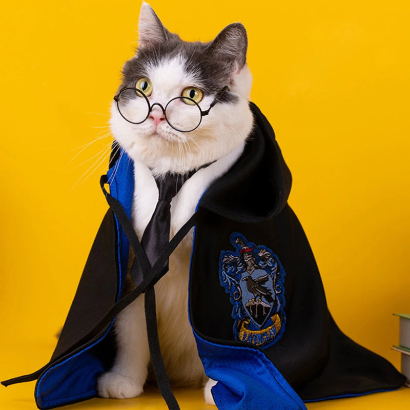 Déguisement Serdaigle Harry Potter Chat