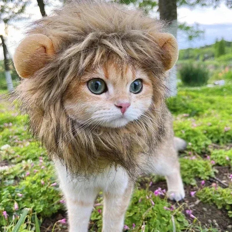 Coiffe Lion pour Chat