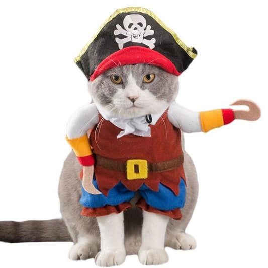 Déguisement Chat Pirate