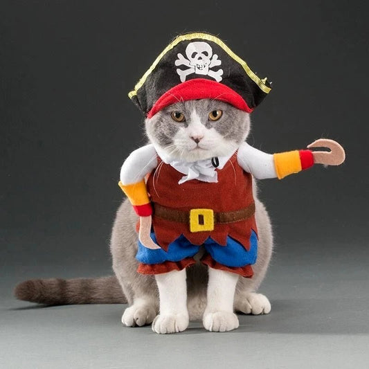 Déguisement Chat Pirate