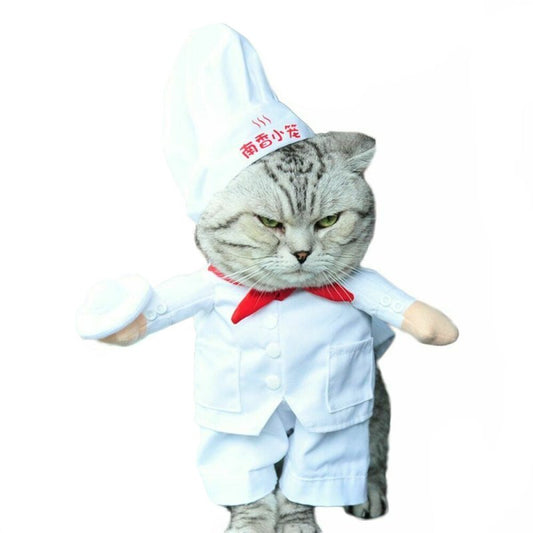 Déguisement Chef Cuistot Chat