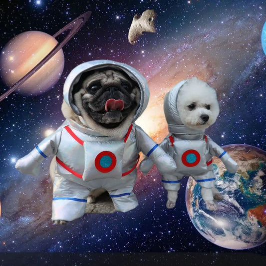 Costume Astronaute Chien