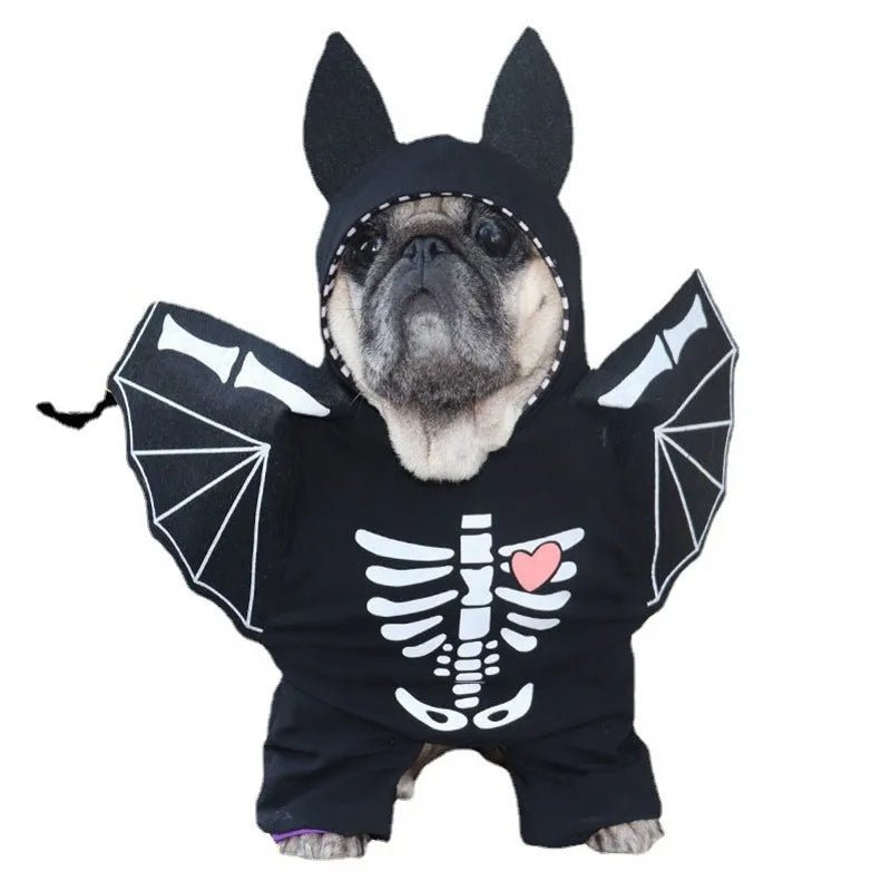 Deguisement Chien Chauve Souris