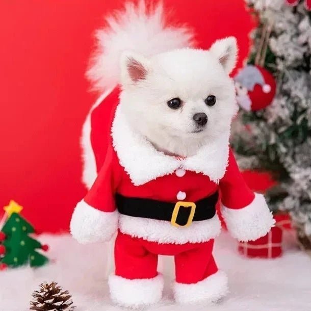 costume chien noël