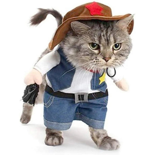 Déguisement Cowboy Chat