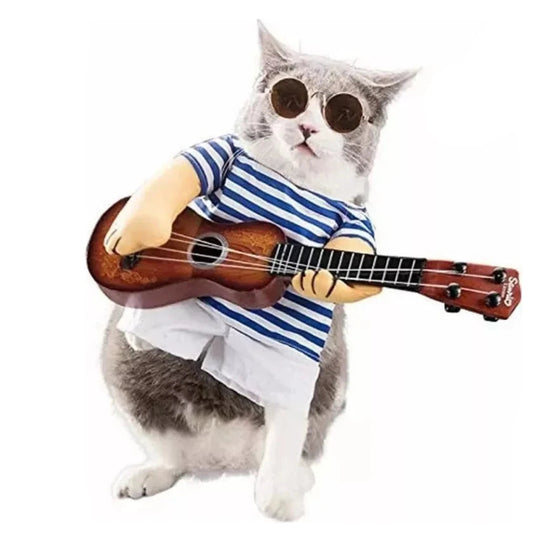 Déguisement Guitare pour Chat