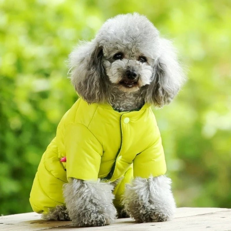 manteau caniche vert