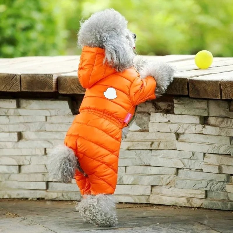 Doudoune pour Chien avec Capuche