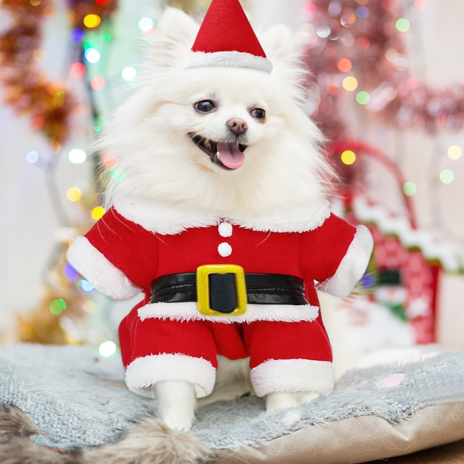 Habit Père Noel pour Chien