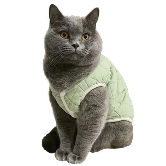 Harnais Gilet Chat