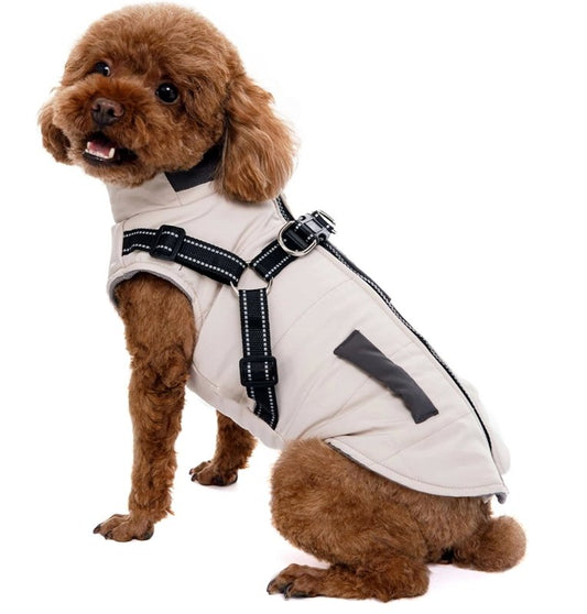 Harnais Veste pour Chien