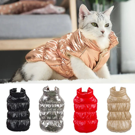 Imperméable pour Chat