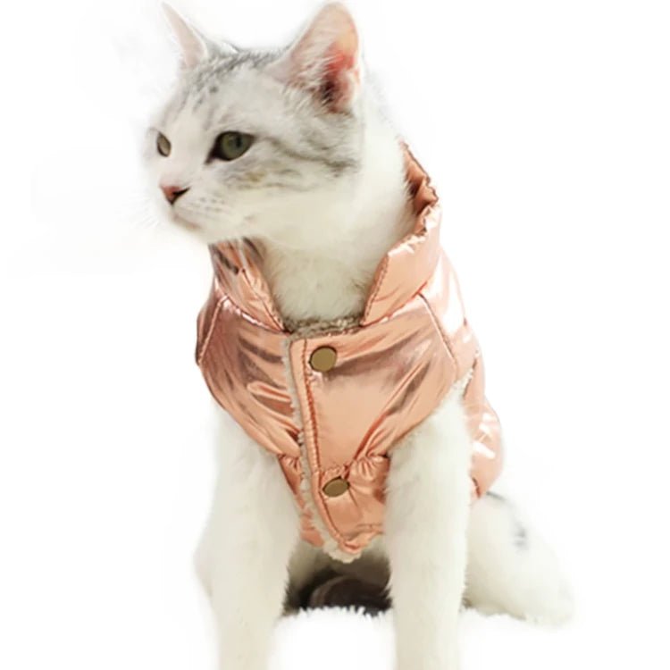 Imperméable pour Chat