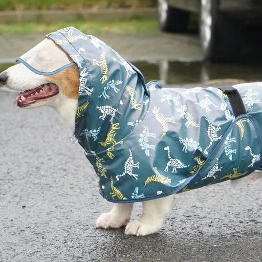 manteau pour chien petite taille