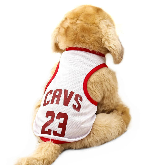 Maillot de Basket pour Chien