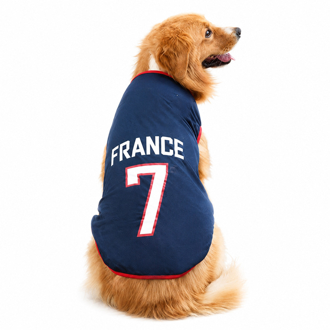 Maillot de Foot Chien France