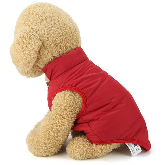 Manteau Caniche