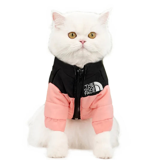 Manteau Chat Hiver