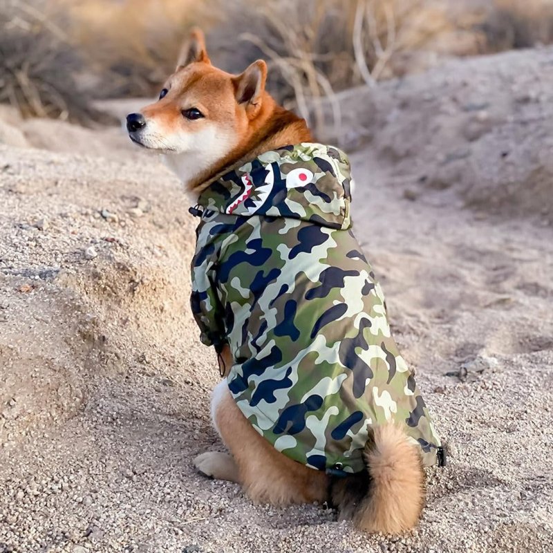 Manteau Camouflage Kaki Chien