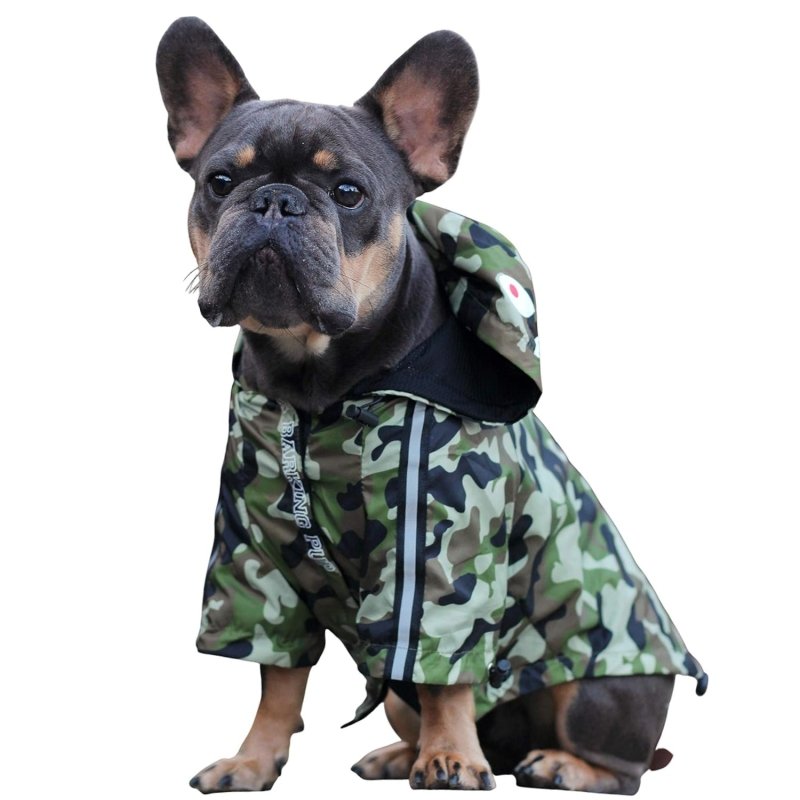 Manteau Chien Camouflage Militaire