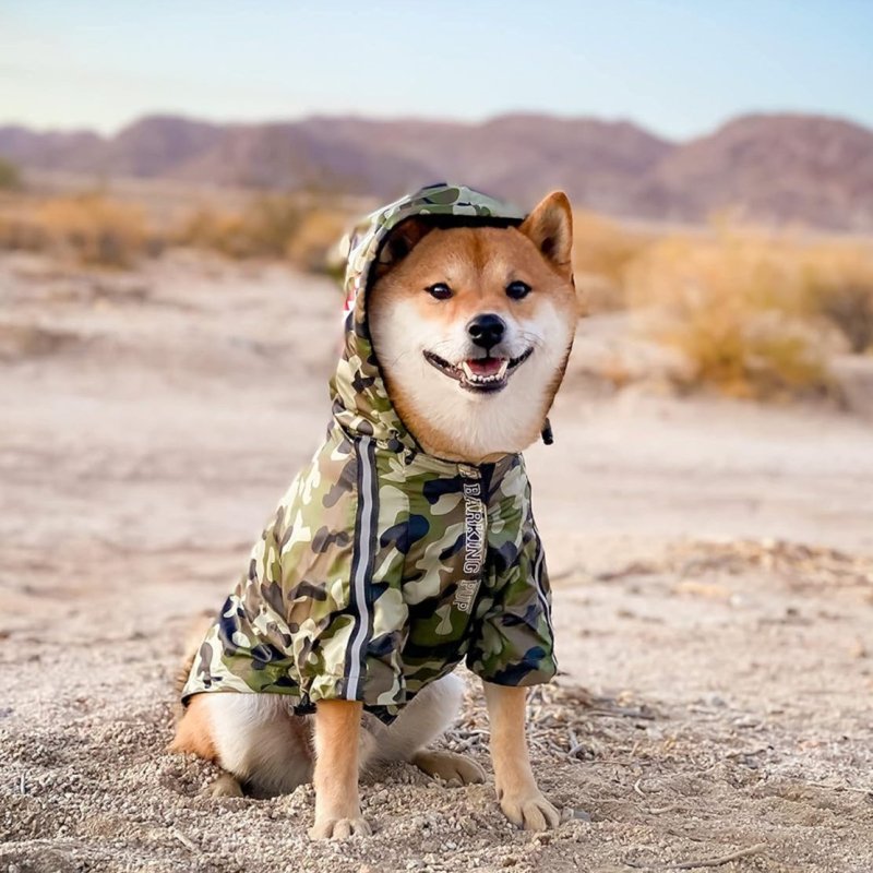 Manteau Akita Inu Armée