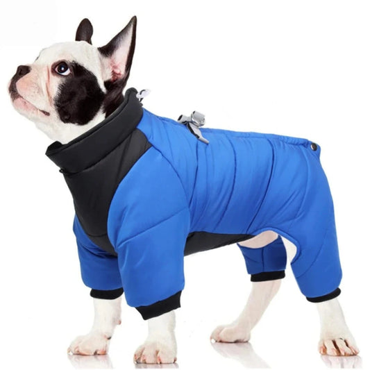 Manteau Chien Chaud