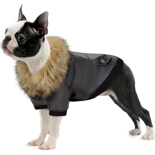 Manteau Chien Col Fourrure