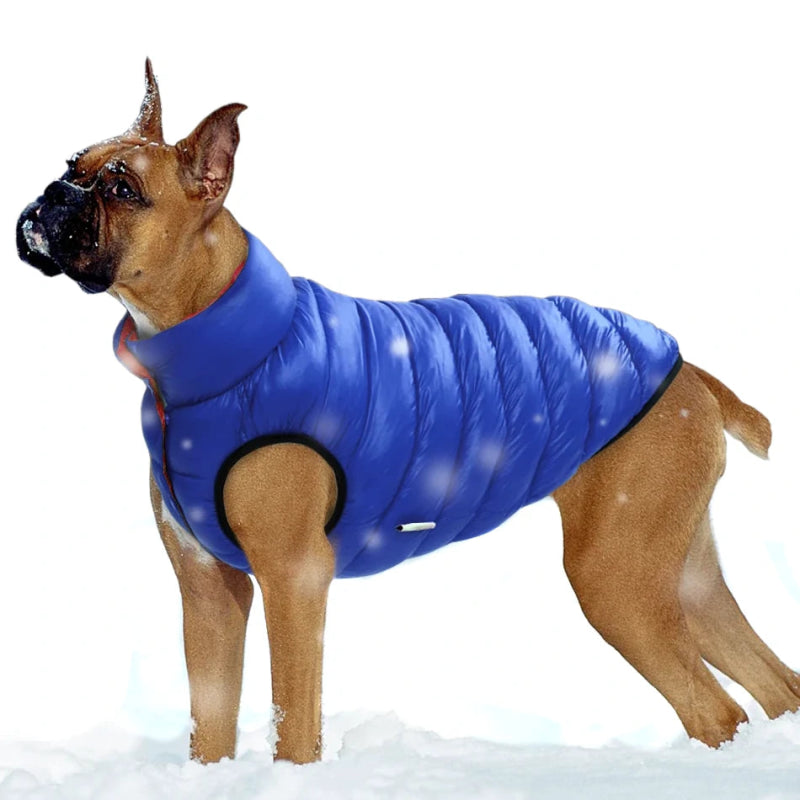 Manteau Chien Doudoune