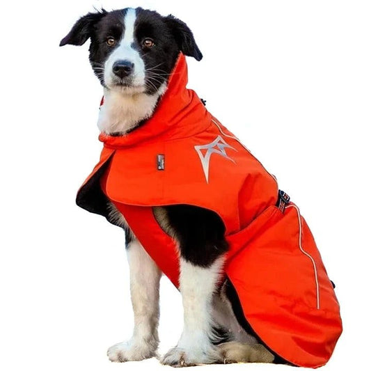 Manteau Chien Haut de Gamme