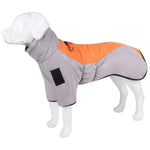 Manteau Chien Labrador / Grands chiens - Vignette | La Truffe Pimpante