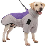 Manteau Chien Labrador / Grands chiens - Vignette | La Truffe Pimpante