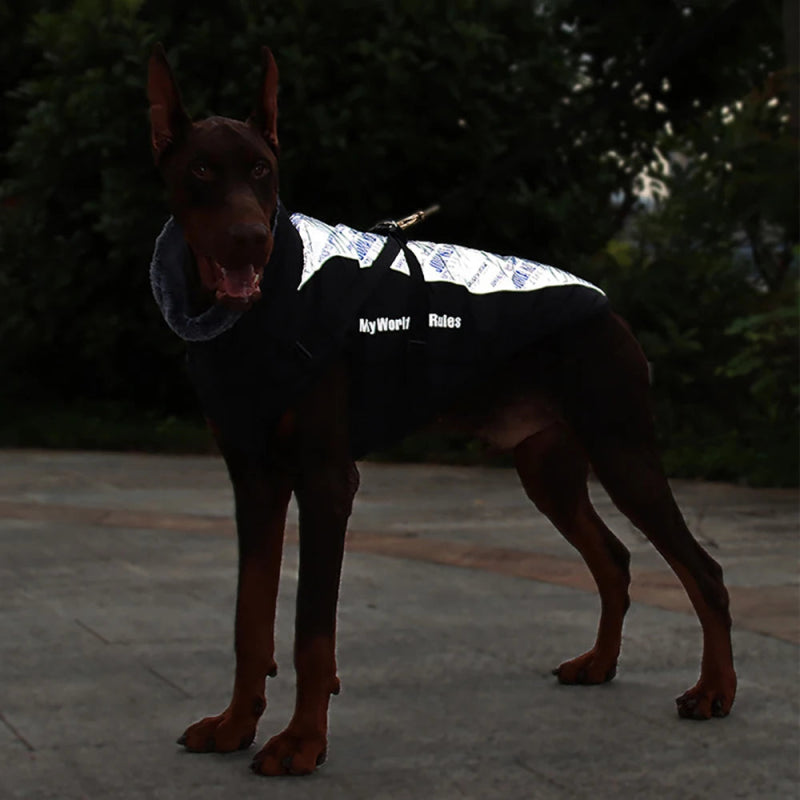 veste réfléchissante grand chien