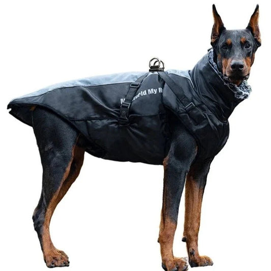 Manteau Chien My World My Rules