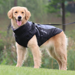 Manteau Chien My World My Rules - Vignette | La Truffe Pimpante