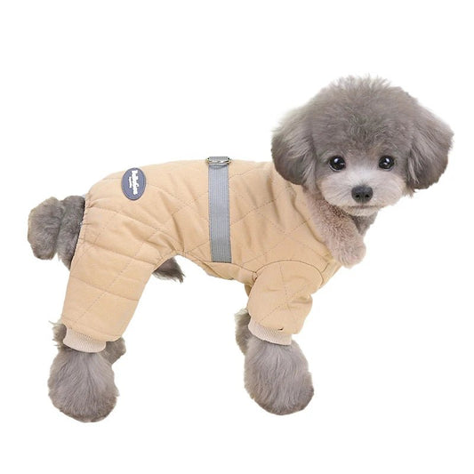 Manteau Chien Petite Taille