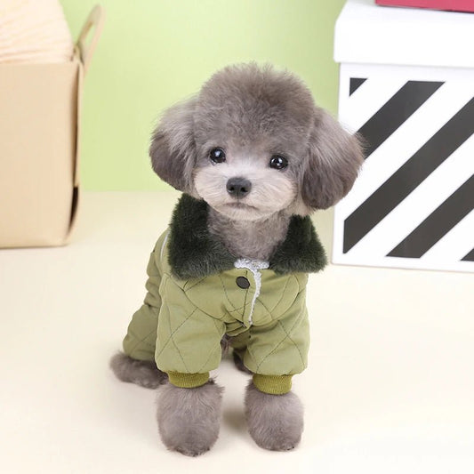 manteau petit chien pas cher