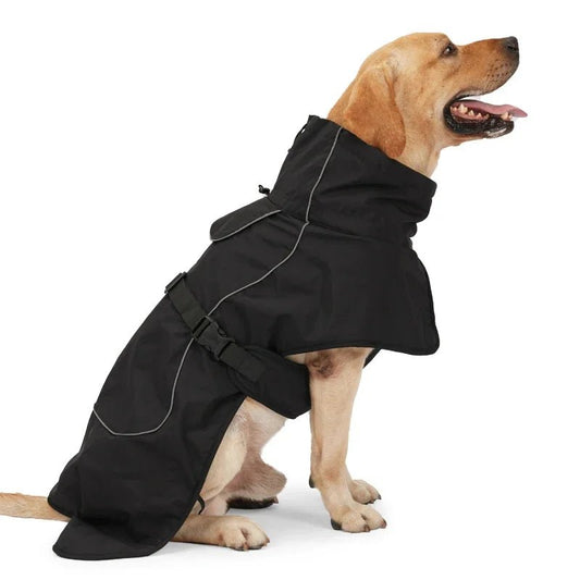 Manteau Chien style Equitheme