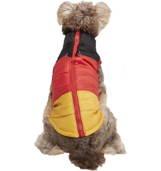 Manteau Chien Trois Couleurs