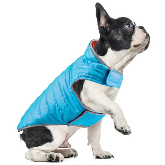 Manteau Chien Velcro