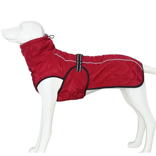 Manteau Chien XS