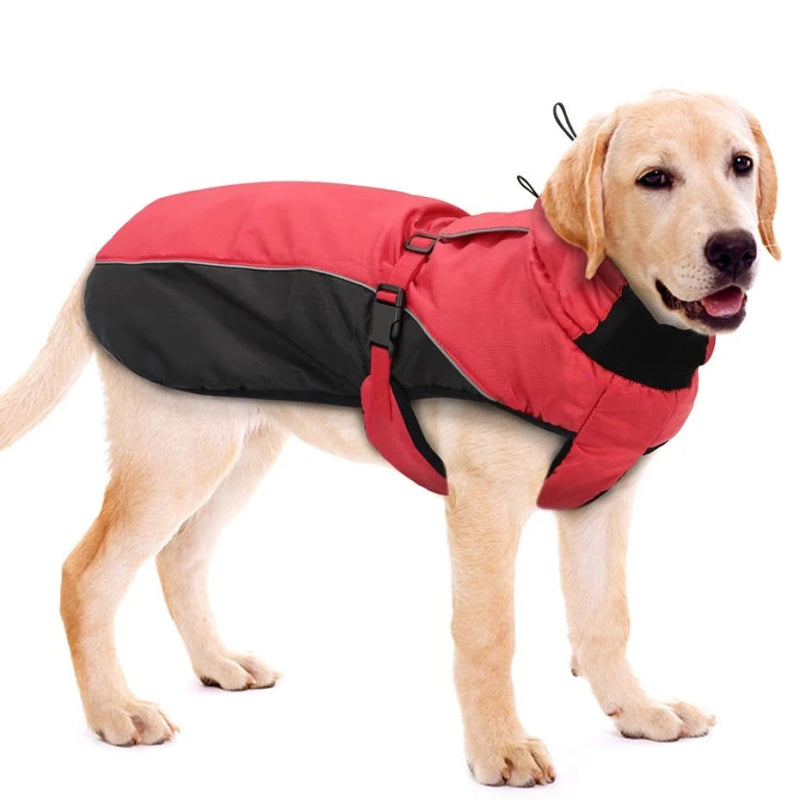 Manteau Chien XXL