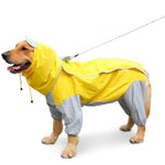 Manteau de Pluie pour Chien - Vignette | La Truffe Pimpante