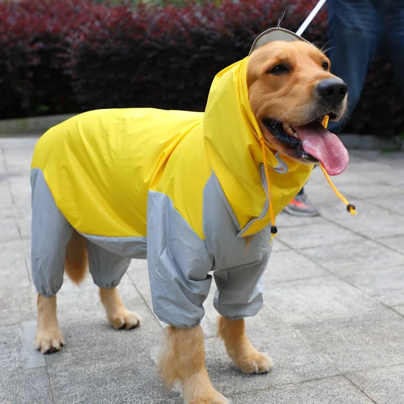 Veste de pluie chien