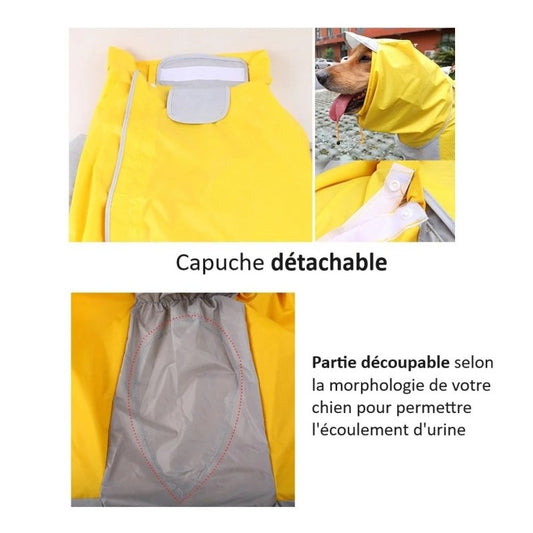 Manteau de Pluie pour Chien
