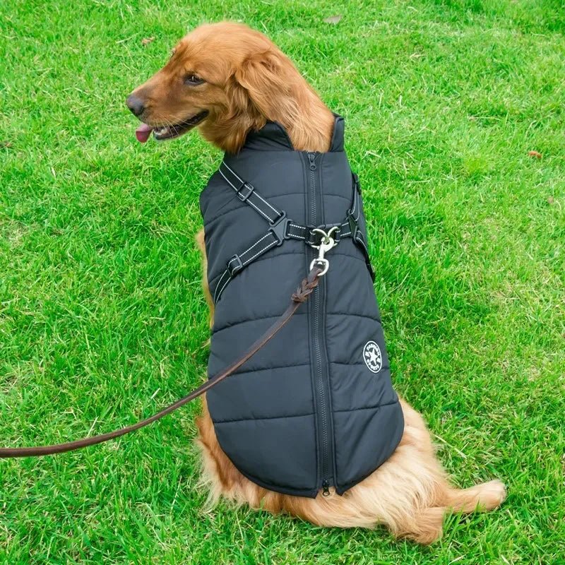 Manteau Fashion Sport Grand Chien